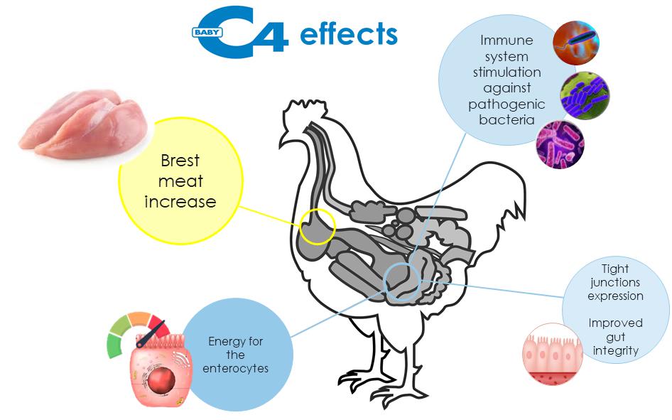 silo-product-baby-c4-effects