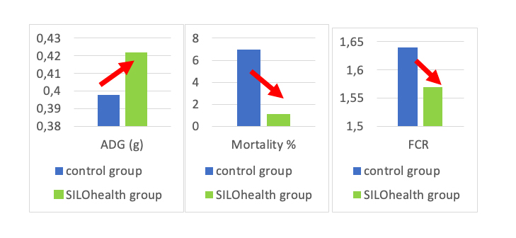 silo-product-logo-silo-health-swine-infographic-1