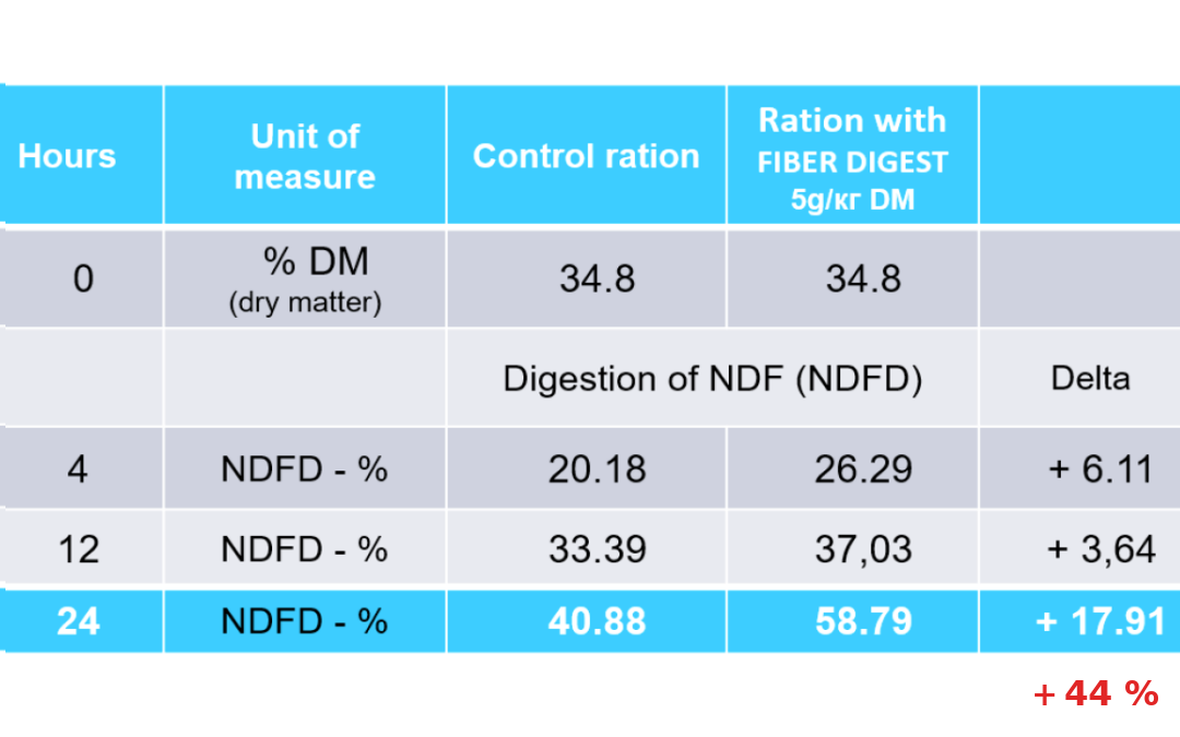 silo-product-fiber-digest-infographic-132003_1080x675